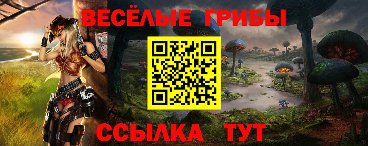 Псилоцибиновые грибы Psilocybe Кириши